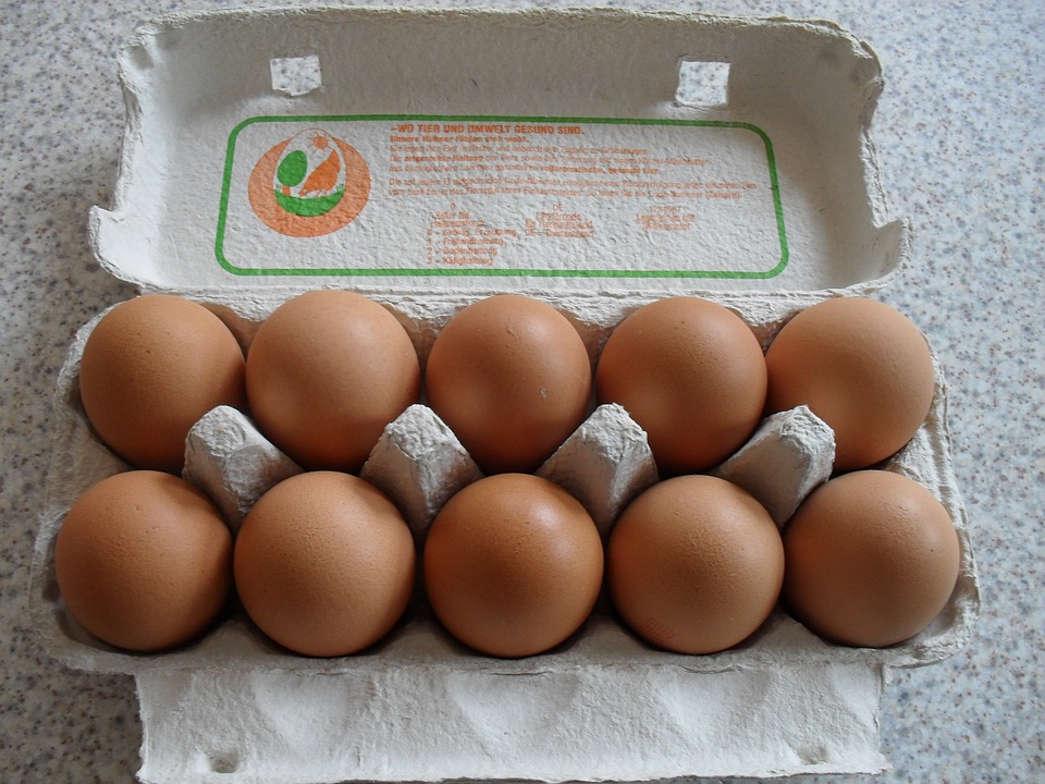 Biologico uova