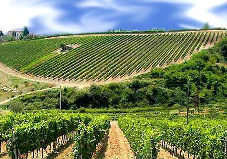 Federazione strade del vino e dei sapori di Lombardia