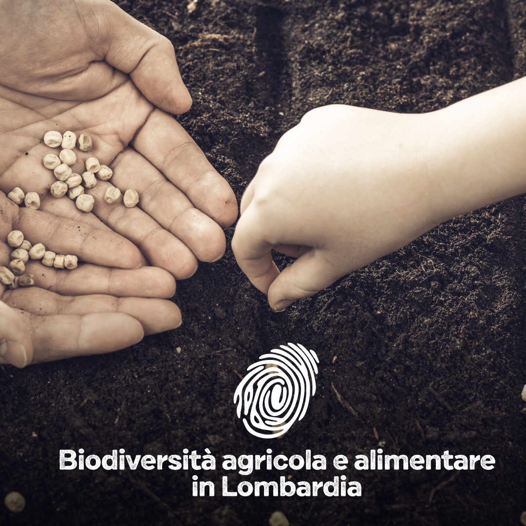 Giornata della biodiversità agricola e alimentare