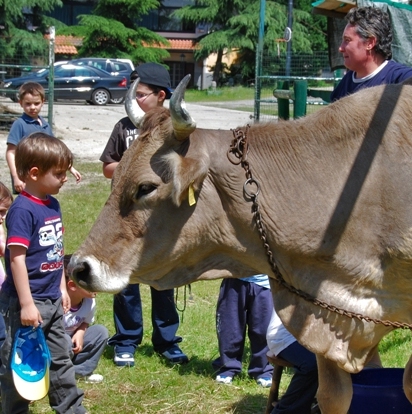 Una giornata in fattoria